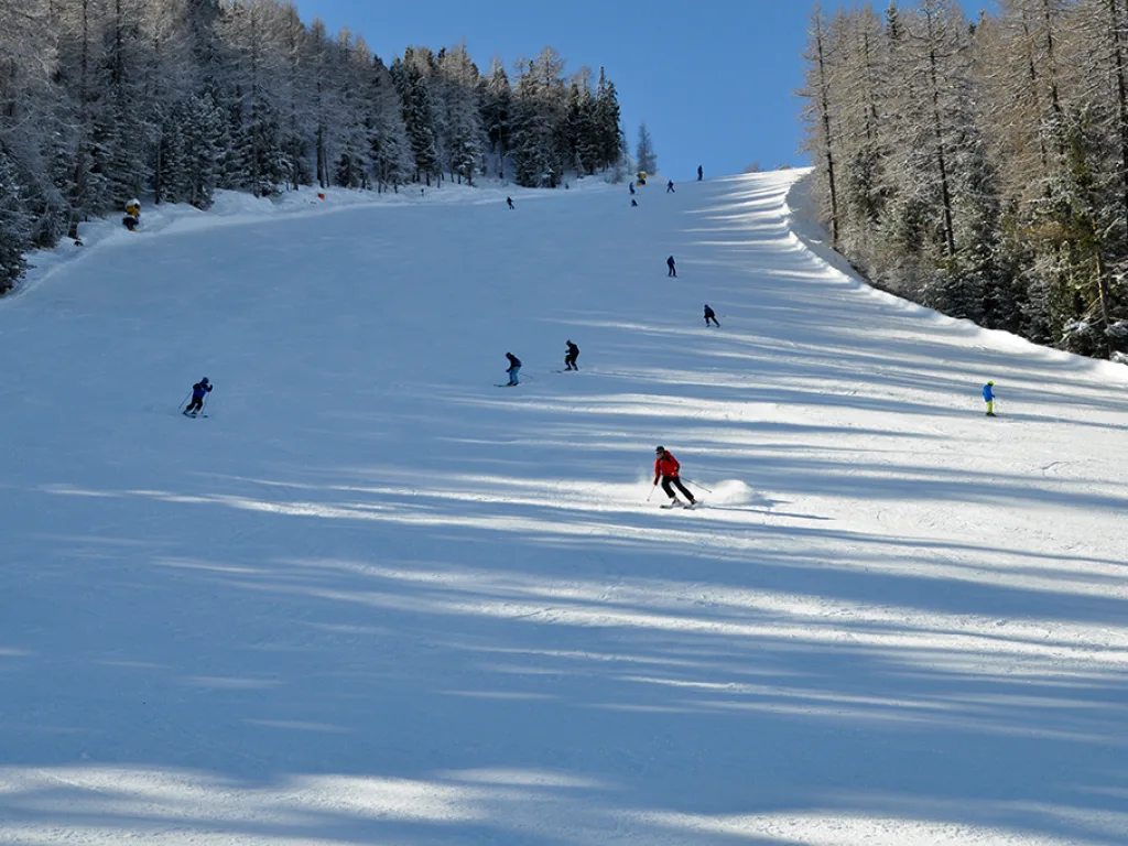 Skifahrende verteilt auf einer sonnigen Waldpiste.